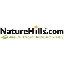 60% Off Summer Blooming Butterfly Bushes