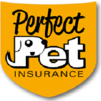 10% Off When You Insure More than One Pet!