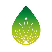 Free Shipping on All CBD Oil