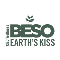 BESO Therapeutic Whip from $60