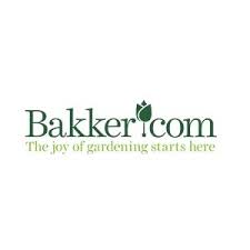 10% Off Discount on Your First Order