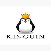 80% Off KINGUIN Software Sale